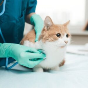 Animal Healthcare